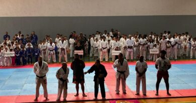 Festival de Artes Marciais reúne 350 atletas em João Monlevade