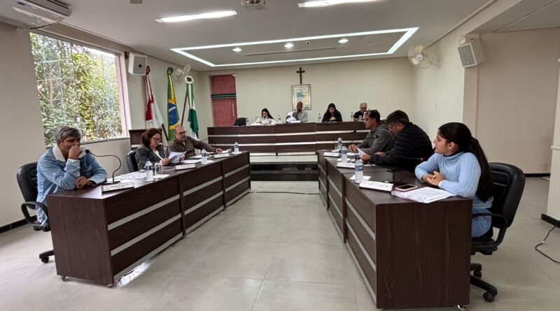 Vereadores aprovam por unanimidade dois projetos em sessão extraordinária da Câmara de Rio Piracicaba