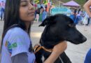 Secretaria de Meio Ambiente e parceiros promovem Feira de Adoção de Animais neste domingo, dia 2 de agosto Secretaria de Meio Ambiente e parceiros promovem Feira de Adoção de Animais neste domingo, dia 2 de agosto