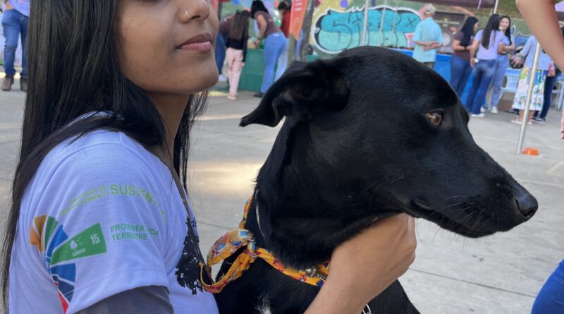 Secretaria de Meio Ambiente e parceiros promovem Feira de Adoção de Animais neste domingo, dia 2 de agosto Secretaria de Meio Ambiente e parceiros promovem Feira de Adoção de Animais neste domingo, dia 2 de agosto