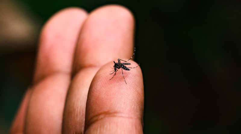 Prefeitura de Bela Vista de Minas reforça campanha de combate à dengue